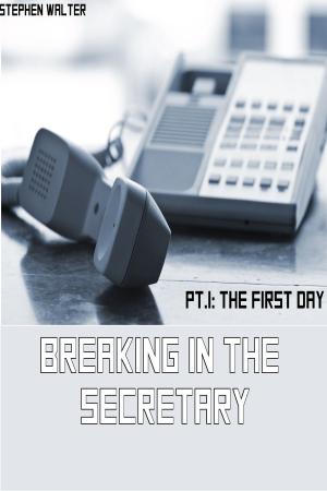 Book cover of Breaking in the Secretary Pt. 1: The First Day