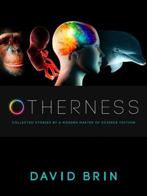 Book cover of Otherness
