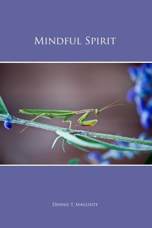 Cover of the book Mindful Spirit by Alastair Smurthwaite