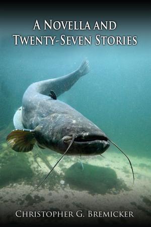 Cover of the book A Novella and Twenty-Seven Stories by Hugh Monney