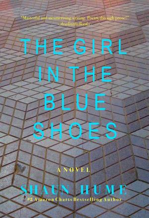 Cover of the book The Girl in the Blue Shoes by Britt Ringel