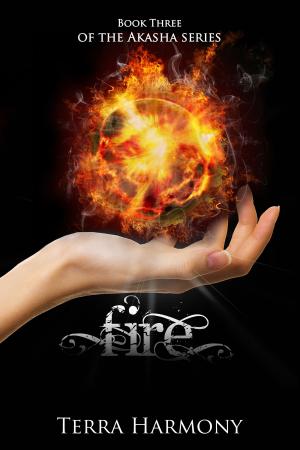 Cover of the book Fire by JC Emery