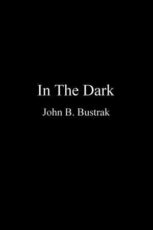 Cover of In The Dark