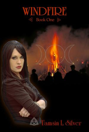 Cover of the book Windfire by Lexi Johnson