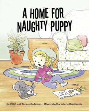 Book cover of A Home for Naughty Puppy