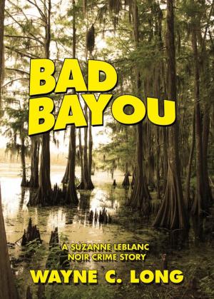 Book cover of Bad Bayou