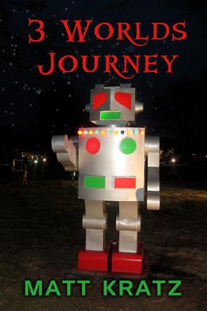Book cover of 3 Worlds Journey