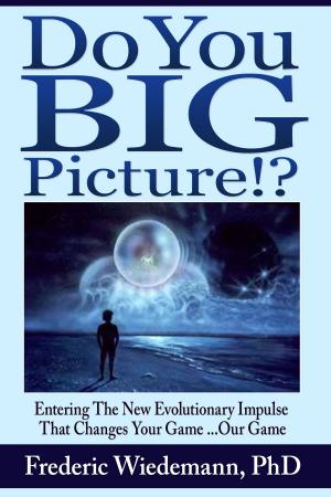 Cover of the book Do You BigPicture? by John Wolcott Adams