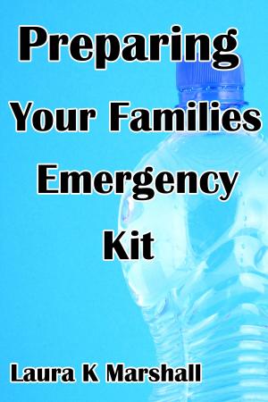 Cover of the book Preparing Your Families Emergency Kit by Laura K Marshall