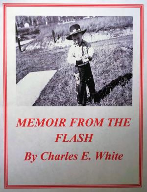 Cover of the book Memoir from the Flash by Raúl Bringas Nostti