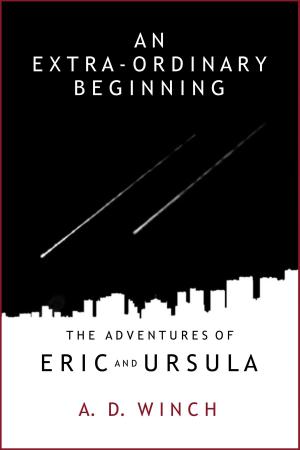 bigCover of the book An Extra-Ordinary Beginning by 