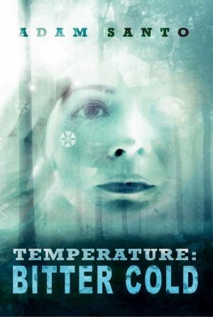 Cover of the book Temperature: Bitter Cold by M.M. Gavillet