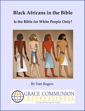 Cover of the book Black Africans in the Bible: Is the Bible for White People Only? by Elmer Colyer