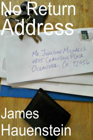 Cover of the book No Return Address by Andrew Bergman