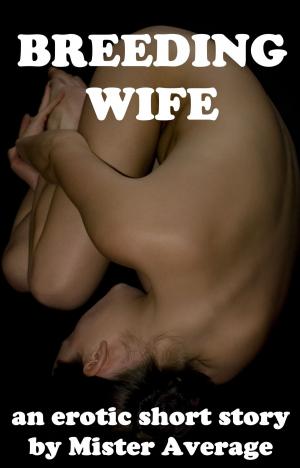 Cover of the book Breeding Wife by V.V. Valois