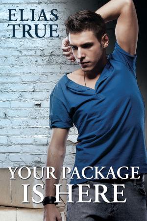 Cover of the book Your Package is Here by Teresa Morgan
