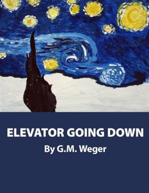 bigCover of the book Elevator Going Down by 
