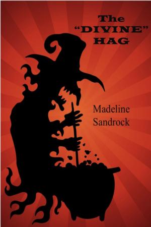 Cover of the book The Divine Hag by Shanddaramon