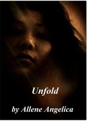 Cover of Unfold