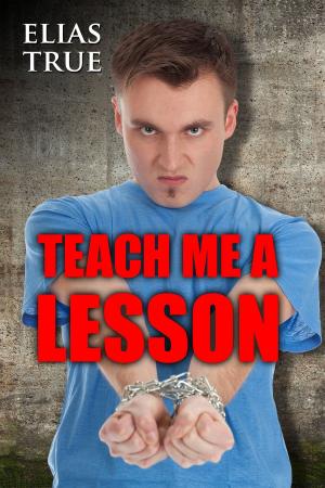 Book cover of Teach Me a Lesson