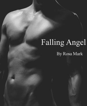 Cover of the book Falling Angel by Rosa Suen