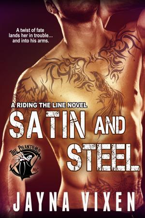 Cover of the book Satin and Steel by Steffanie Holmes