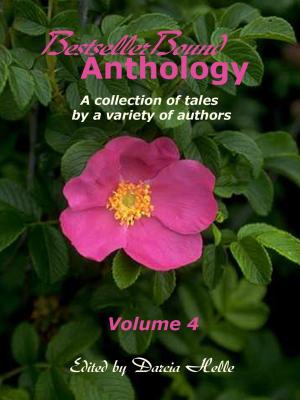 Book cover of BestsellerBound Short Story Anthology Volume 4