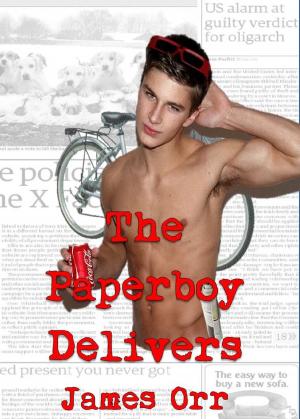 Cover of The Paperboy Delivers