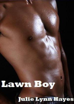 Cover of the book Lawn Boy by Paul O. Williams