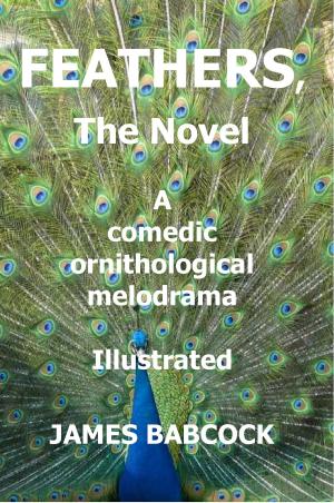 Cover of the book Feathers: A Comedic Ornithological Melodrama by Silviu Suliță