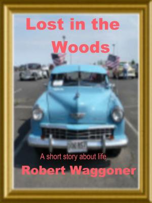 Book cover of Lost in the Woods