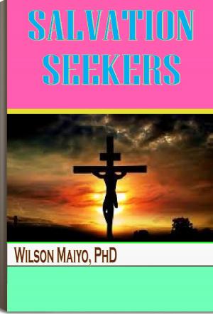 bigCover of the book Salvation Seekers by 
