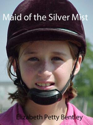 Cover of the book Maid of the Silver Mist by Maggie Dana