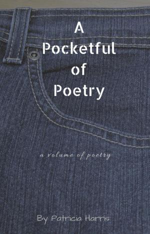 Cover of the book A Pocketful of Poetry by David Mamet
