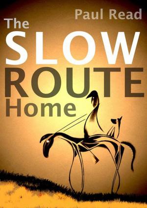 Cover of the book The Slow Route Home by Magazine Nowhere, Dave Eggers, Merrill Gilfillan