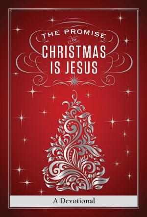 Cover of the book The Promise of Christmas is Jesus by Ken Blanchard, Phil Hodges