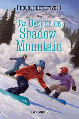 Cover of the book The Danger on Shadow Mountain by Diane Namm