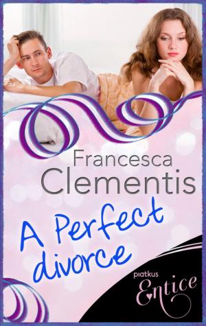 Book cover of A Perfect Divorce