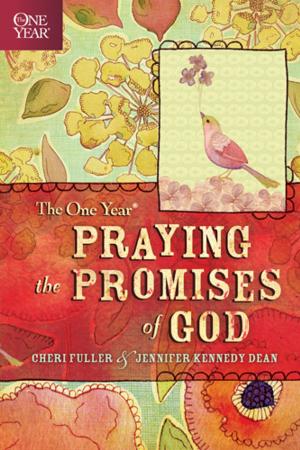 Cover of the book The One Year Praying the Promises of God by Jennifer Erin Valent