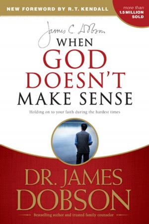 Cover of the book When God Doesn't Make Sense by Dandi Daley Mackall
