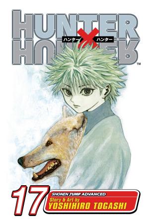 Cover of the book Hunter x Hunter, Vol. 17 by Hidenori Kusaka