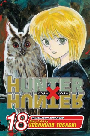 Cover of the book Hunter x Hunter, Vol. 18 by Kohei Horikoshi