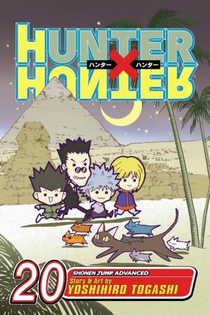 Cover of the book Hunter x Hunter, Vol. 20 by Masashi Kishimoto