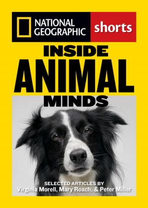 Cover of the book Inside Animal Minds by Alane Ferguson, Gloria Skurzynski