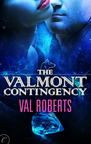 Cover of the book The Valmont Contingency by Ainslie Paton