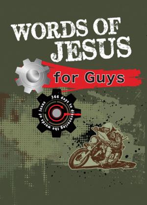 Cover of the book Words of Jesus for Guys (eBook) by Stormie Omartian