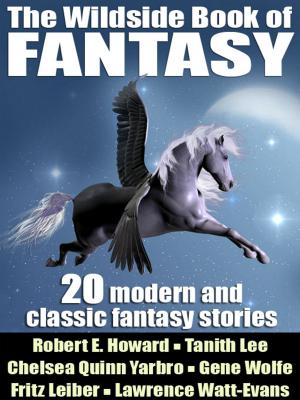 Book cover of The Wildside Book of Fantasy