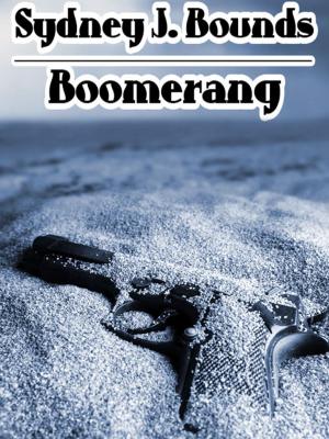 Cover of the book Boomerang: A Crime Novel by Tedd Thomey