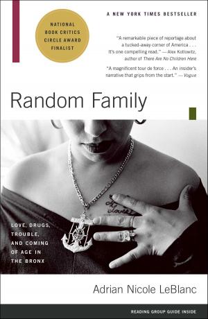 Cover of the book Random Family by Linda Grant