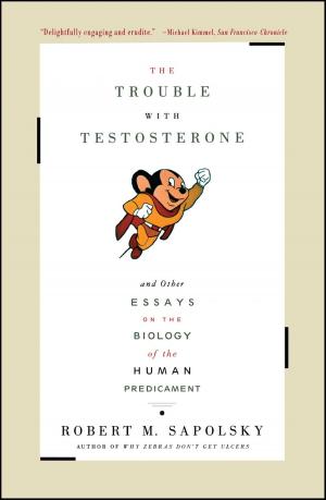 Book cover of The Trouble With Testosterone